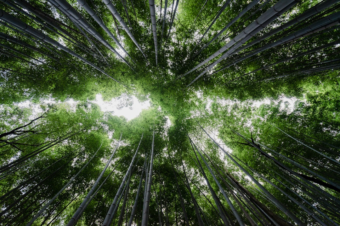 European Sustainable Tech Association